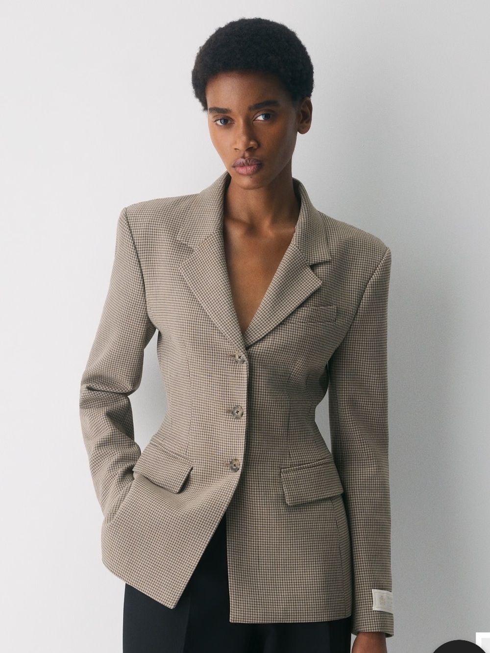 Aritzia Babaton Standout Blazer - Eversential™ Babaton Eversential Brown